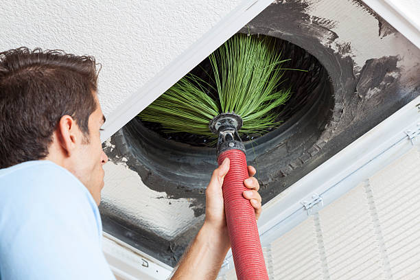Air Duct Mold Removal in Palm Bay, FL